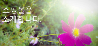 비즈밸리 쇼핑몰 체험 상품 소개